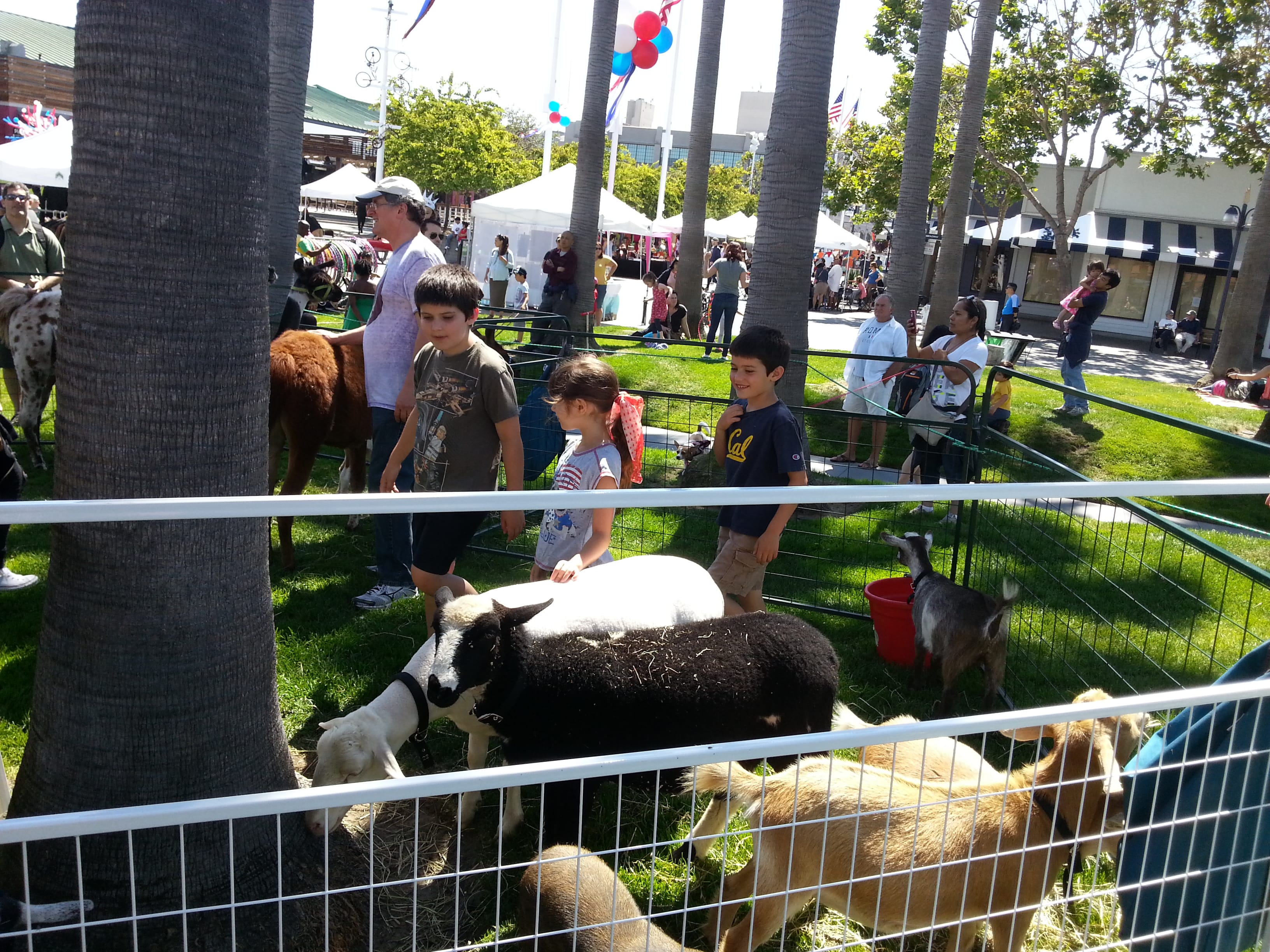 Pony Ranch Party Sacramento, Elk Grove, Galt, South Sacramento ...