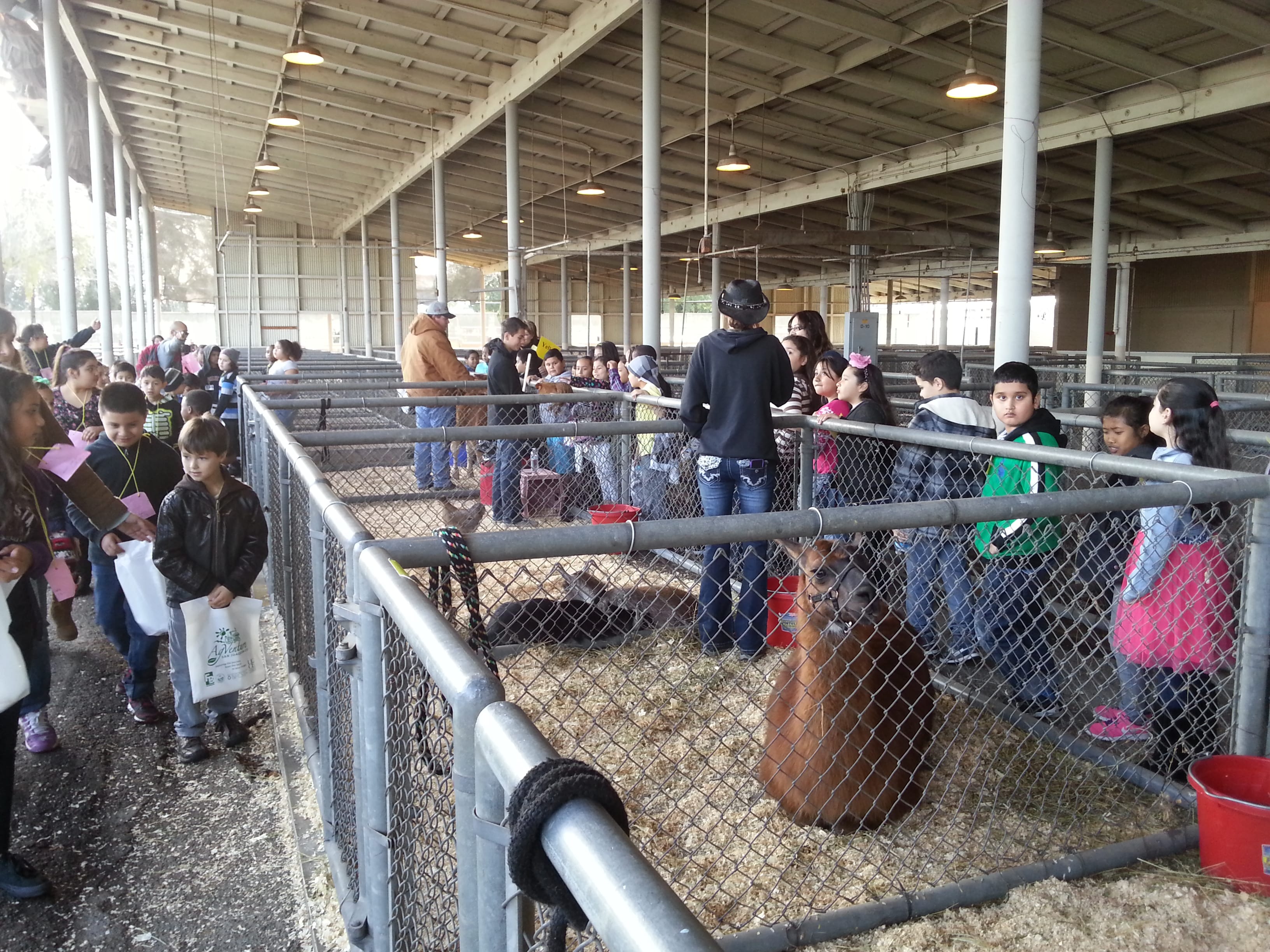 Pony Ranch Party Sacramento, Elk Grove, Galt, South Sacramento ...