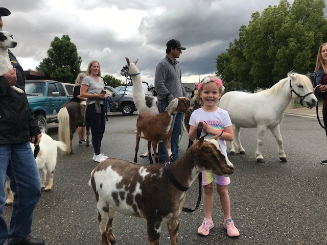 Pony Ranch Party | Mobile Petting Zoo | Sacramento, Elk Grove, Galt